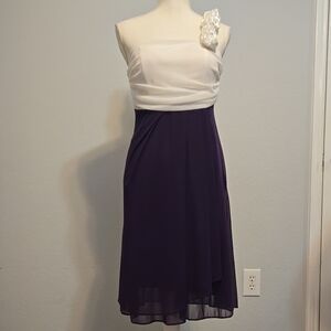 Elegant Purple and White Dress